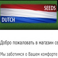 DutchSeeds